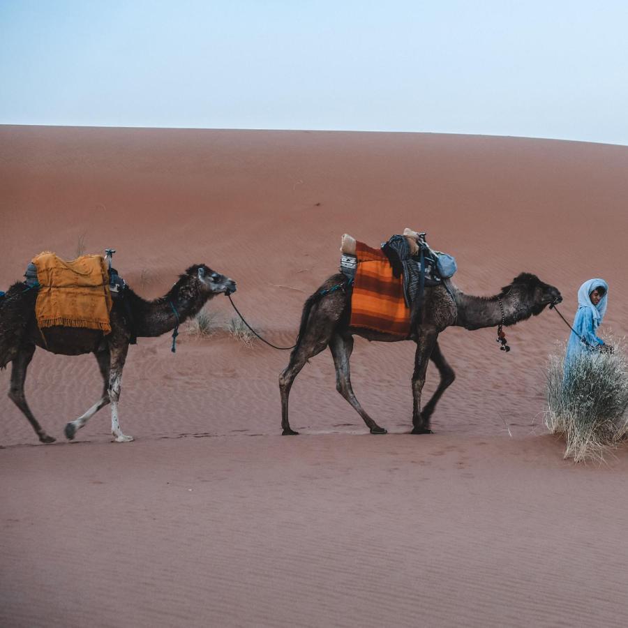 Camel Luxury Camp Merzouga Exterior foto